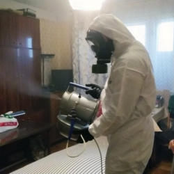 Дезинфекция от клопов в Лузе