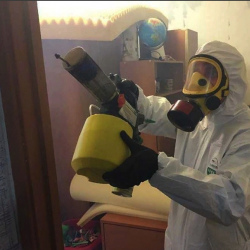 Уничтожение клопов в квартире. Луза